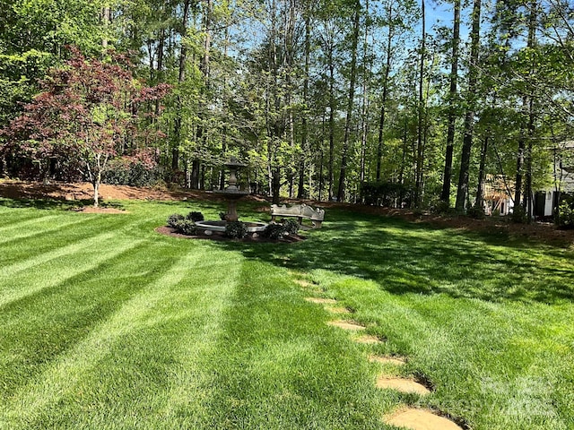 1832 Marthas Vineyard Rd, York, SC 29745 - view of yard