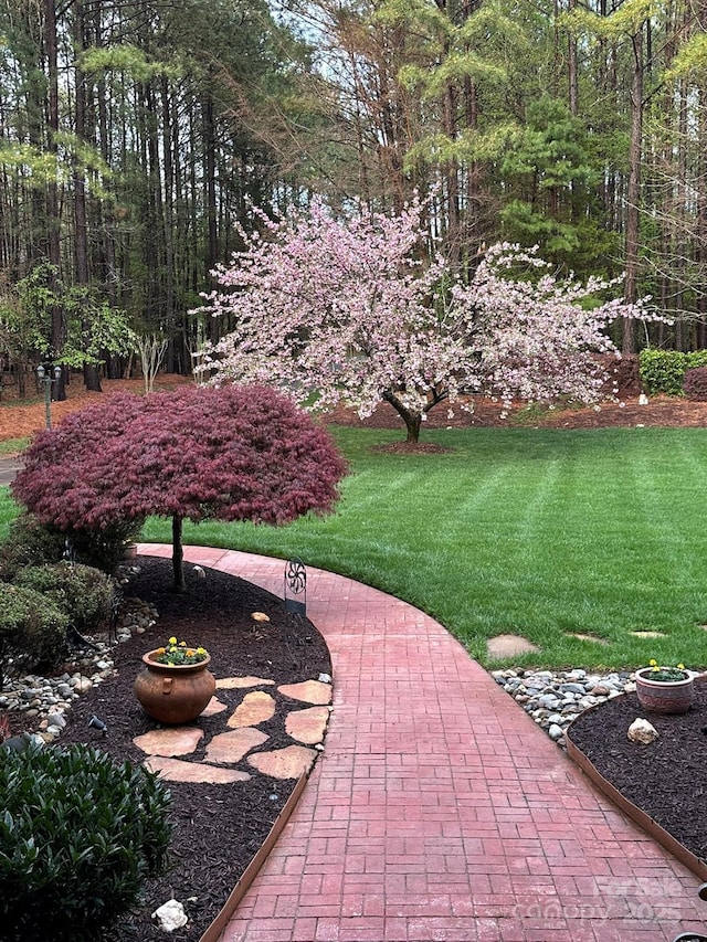 1832 Marthas Vineyard Rd, York, SC 29745 - view of yard