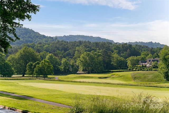 54 Fairway Rd, Asheville, NC 28804 - photo 36