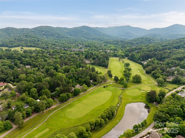 54 Fairway Rd, Asheville, NC 28804 - photo 42