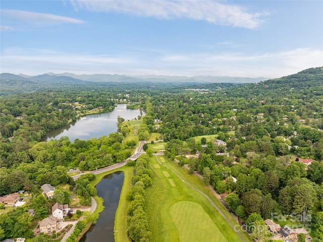54 Fairway Rd, Asheville, NC 28804 - photo 5
