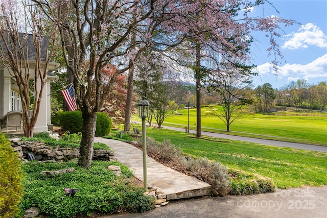 54 Fairway Rd, Asheville, NC 28804 - photo 6