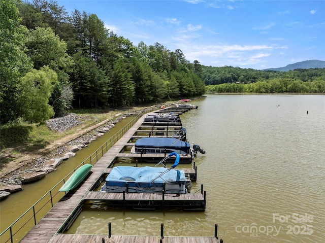 421 N Boundary Rd, Mill Spring, NC 28756 - dock with a view of trees, a water view, and boat lift