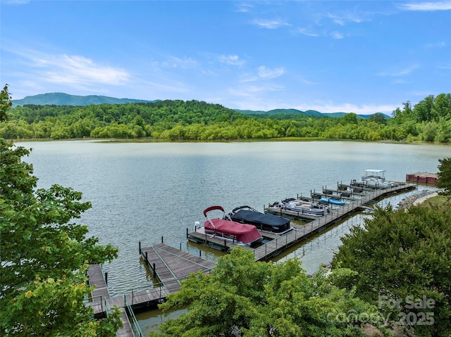 421 N Boundary Rd, Mill Spring, NC 28756 - dock area with a water and mountain view and a wooded view