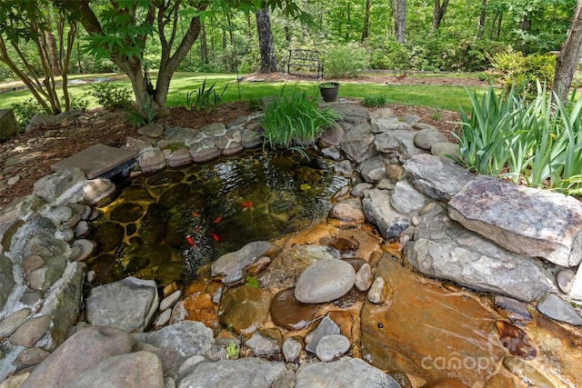 421 N Boundary Rd, Mill Spring, NC 28756 - view of yard with a small pond