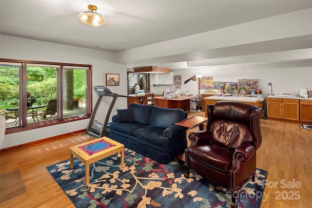 421 N Boundary Rd, Mill Spring, NC 28756 - living area featuring light wood-style flooring and baseboards