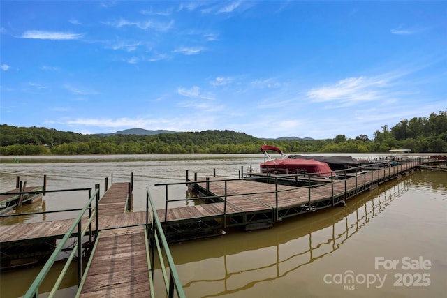 421 N Boundary Rd, Mill Spring, NC 28756 - dock with a view of trees and a water view