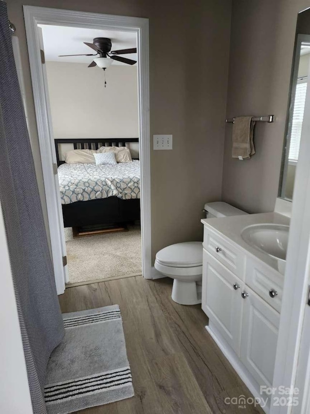 18224 Taffrail Way, Cornelius, NC 28031 - bathroom with ceiling fan, wood finished floors, toilet, vanity, and ensuite bath