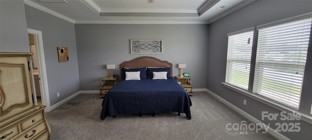 1501 Allegheny Way, Waxhaw, NC 28173 - carpeted bedroom featuring a raised ceiling, ornamental molding, and baseboards