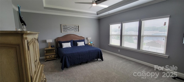 1501 Allegheny Way, Waxhaw, NC 28173 - bedroom with a raised ceiling, light carpet, baseboards, ornamental molding, and ceiling fan