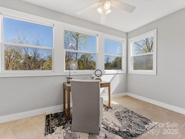 carpeted office space with baseboards, a ceiling fan, and a wealth of natural light