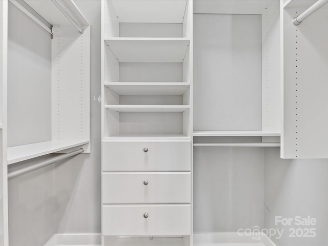 view of walk in closet