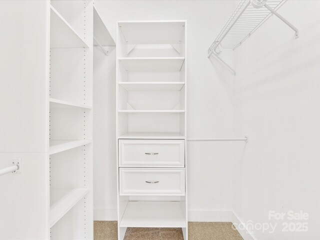 spacious closet with light colored carpet
