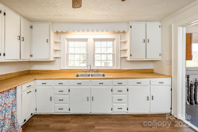 260 Penninger Dr, Woodleaf, NC 27054 - kitchen with dark wood-type flooring, a healthy amount of sunlight, a sink, and open shelves
