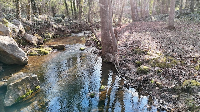 116 Jonas Dr, Lincolnton, NC 28092 - view of nature