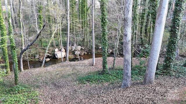 116 Jonas Dr, Lincolnton, NC 28092 - view of landscape