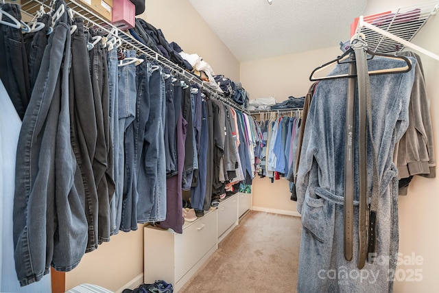 walk in closet featuring carpet flooring