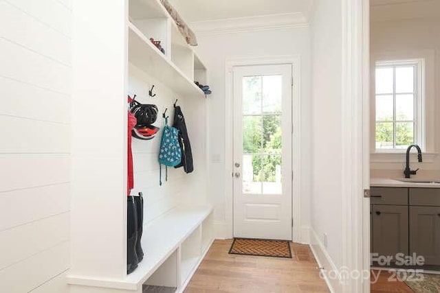 3119 Knowlton Ln, Charlotte, NC 28205 - mudroom featuring a sink, ornamental molding, and light wood-style floors