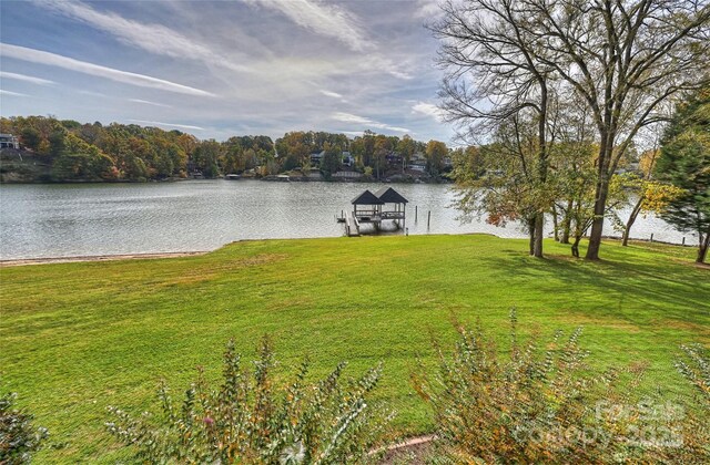 2045 Driftwood Cir, Fort Mill, SC 29708 - photo 46