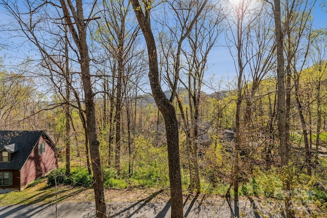 12 Hutchinson Woods Dr, Fletcher, NC 28732 - view of local wilderness with a forest view