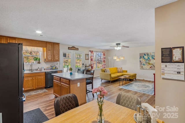 12 Hutchinson Woods Dr, Fletcher, NC 28732 - kitchen featuring a sink, a textured ceiling, dishwasher, light wood finished floors, and freestanding refrigerator