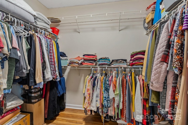 12 Hutchinson Woods Dr, Fletcher, NC 28732 - spacious closet with wood finished floors