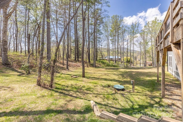 209 Fall Leaves Dr, Fairview, NC 28730 - view of green lawn