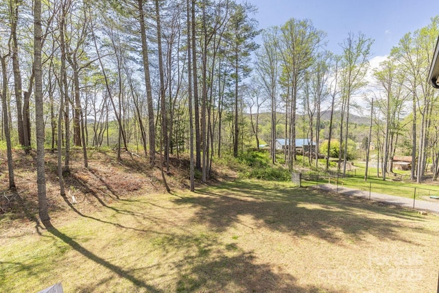 209 Fall Leaves Dr, Fairview, NC 28730 - view of yard