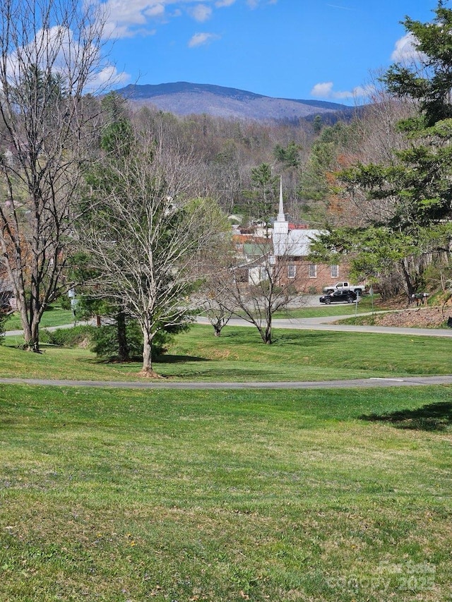 212 S Mitchell Ave, Bakersville, NC 28705 - mountain view