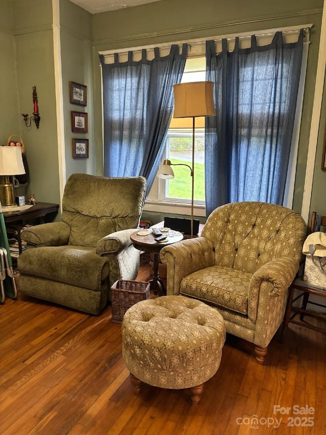212 S Mitchell Ave, Bakersville, NC 28705 - living area with hardwood / wood-style flooring