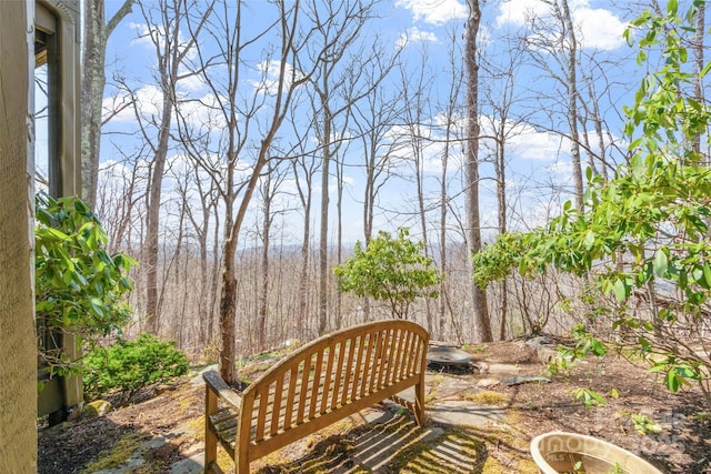 20 Springflower Ct, Burnsville, NC 28714 - photo 46