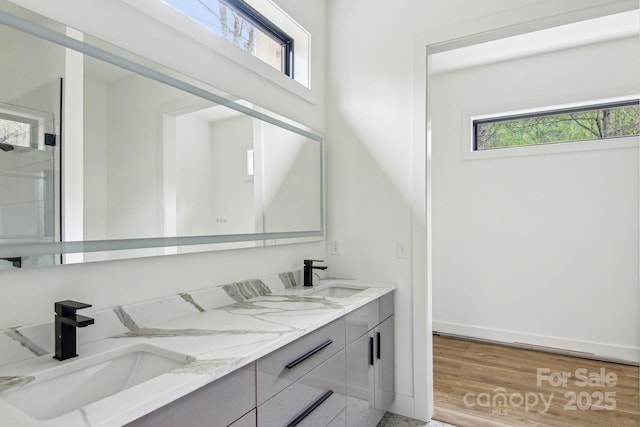full bathroom with double vanity, a wealth of natural light, and a sink