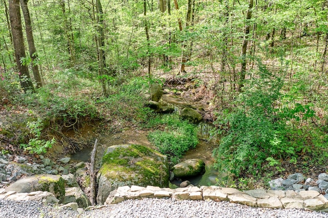 view of landscape featuring a forest view