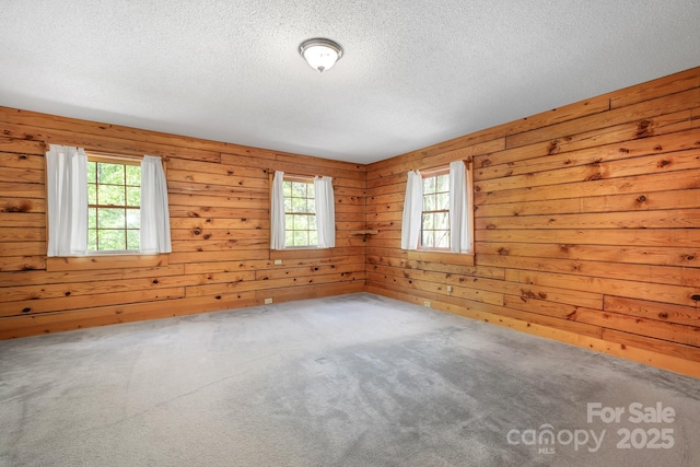 spare room featuring wood walls, plenty of natural light, carpet, and a textured ceiling