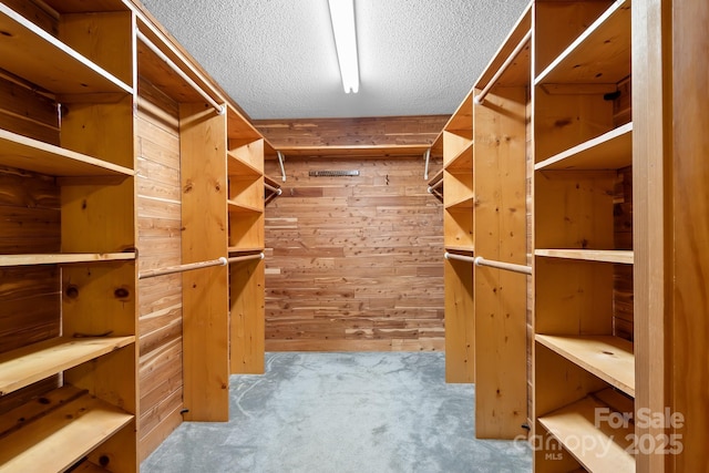 spacious closet featuring carpet flooring