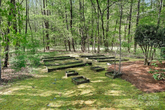view of yard with a garden and a forest view