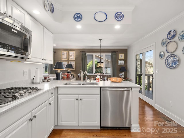 12 Clubside Dr, Asheville, NC 28804 - kitchen featuring a sink, appliances with stainless steel finishes, a peninsula, and a wealth of natural light