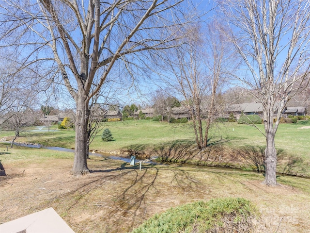 12 Clubside Dr, Asheville, NC 28804 - view of yard with a water view