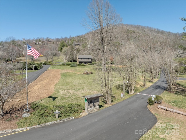 12 Clubside Dr, Asheville, NC 28804 - view of road