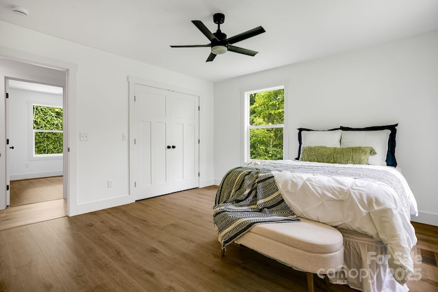 37 Garland Ball Dr, Alexander, NC 28701 - bedroom with multiple windows, wood finished floors, and baseboards