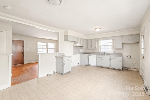 kitchen with a sink, light floors, a healthy amount of sunlight, and white dishwasher