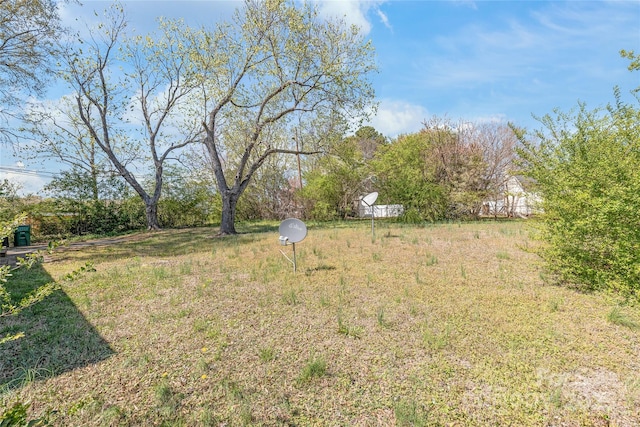 view of yard