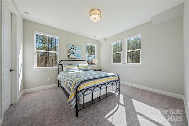 6398 Chimney Bluff Rd, Lancaster, SC 29720 - photo 27