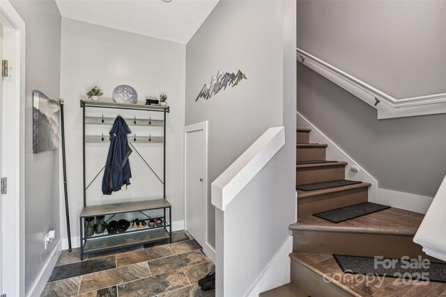 8 Apple Ln, Asheville, NC 28804 - photo 5