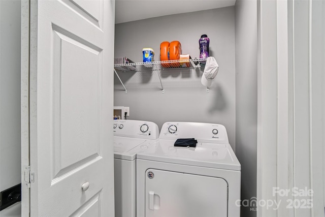 8 Apple Ln, Asheville, NC 28804 - photo 21