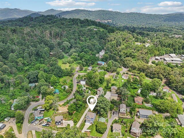 8 Apple Ln, Asheville, NC 28804 - photo 40