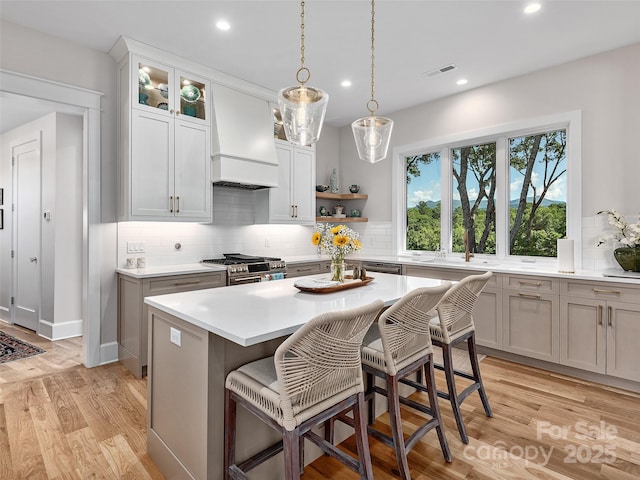 162 Riverbend Forest Dr, Asheville, NC 28805 - kitchen featuring light countertops, light wood-style flooring, visible vents, stainless steel appliances, and custom range hood