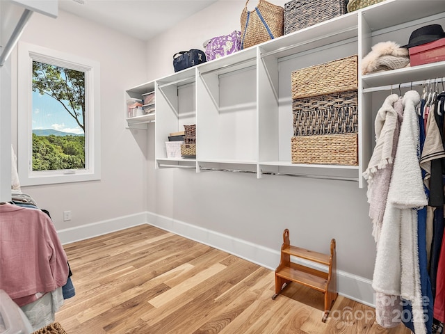 162 Riverbend Forest Dr, Asheville, NC 28805 - spacious closet featuring wood finished floors