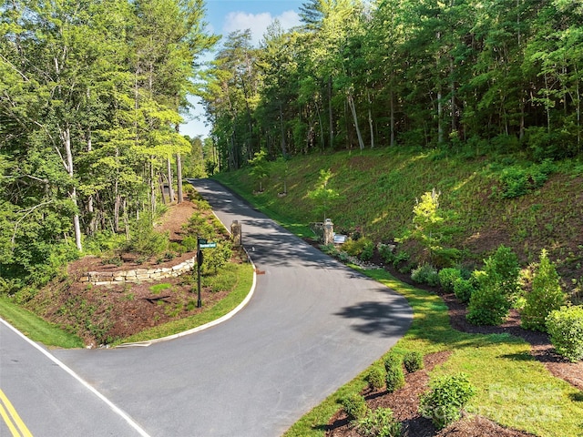 162 Riverbend Forest Dr, Asheville, NC 28805 - view of road
