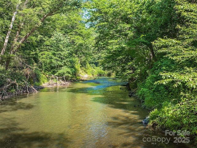 162 Riverbend Forest Dr, Asheville, NC 28805 - view of water feature with a view of trees